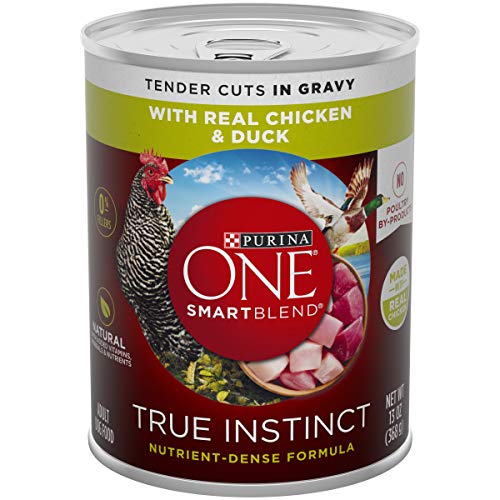Product Cover Purina ONE Natural Gravy Wet Dog Food, SmartBlend True Instinct Tender Cuts With Real Chicken & Duck - (12) 13 oz. Cans