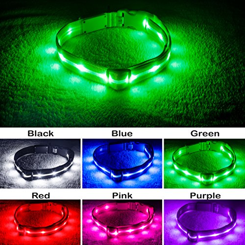 Product Cover Blazin' Safety LED Dog Collar - USB Rechargeable with Water Resistant Flashing Light - Small Green
