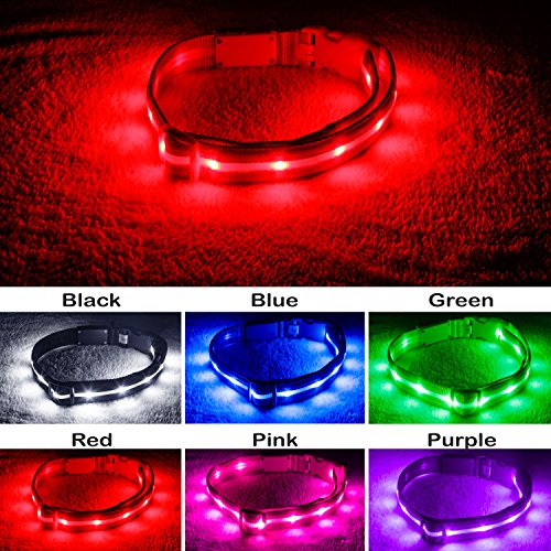 Product Cover Blazin' Safety LED Dog Collar - USB Rechargeable with Water Resistant Flashing Light, Large, Red