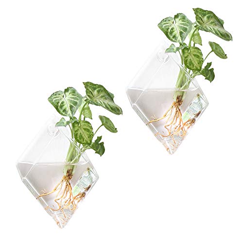 Product Cover Mkono 2 Pack Wall Hanging Plant Terrarium Glass Planter for Home Decor, Diamond Shape