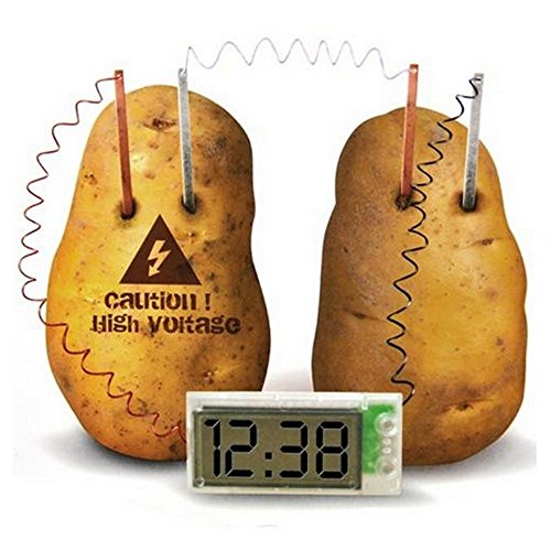 Product Cover Kasstino Potato Clock Novel Green Science Project Experiment Kit Kids Lab Home School Toy