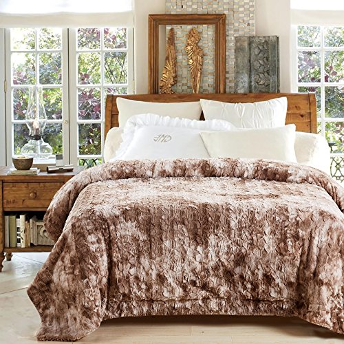 Product Cover Chanasya Fuzzy Faux Fur Throw Blanket - Light Weight Blanket for Bed Couch and Living Room Suitable for Fall Winter and Spring (Queen) Beige
