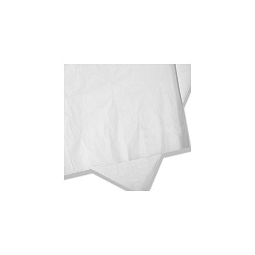 Product Cover Toddy TCMPF50S Commercial Cold Brew Paper Filter - 50 / CS