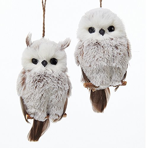 Product Cover Kurt Adler 1 Set 2 Assorted Brown And White Owl Ornaments,white, grey
