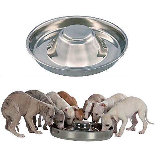 Product Cover King International Stainless Steel Dog Bowl 1 Puppy Litter Food Feeding Weaning Silver Stainless Dog Bowl Dish Large Dogs, Pets Feeder Bowl and Water Bowl Perfect Choice