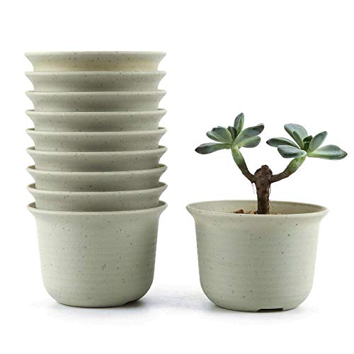 Product Cover T4U 3.5 Inch Plastic Round Plant Pot/Cactus Flower Pot/Container Grey Set of 10,Seeding Nursery Planter Pot with Drainage for Flowers Herbs African Violets Succulents Orchid Cactus Indoor Outdoor