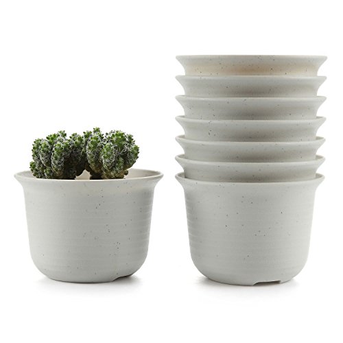 Product Cover T4U 5.75 Inch Plastic Round Plant Pot/Cactus Flower Pot/Container Grey Set of 8,Seeding Nursery Planter Pot with Drainage for Flowers Herbs African Violets Succulents Orchid Cactus Indoor Outdoor