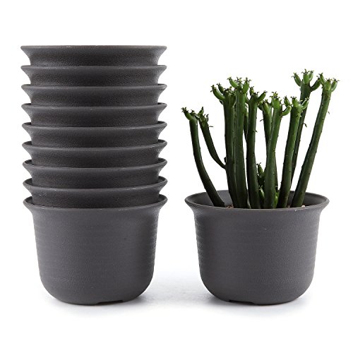 Product Cover T4U 4.25 Inch Plastic Round Plant Pot/Cactus Flower Pot/Container Brown Set of 10,Seeding Nursery Planter Pot with Drainage for Flowers Herbs African Violets Succulents Orchid Cactus Indoor Outdoor