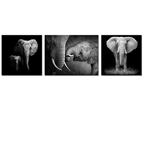 Product Cover Animal Canvas Wall Art Decor Black and White Elephant Picture on Canvas Elephant Painting Artwork for Living Room Decor Giclee Canvas Prints Ready to Hang (12