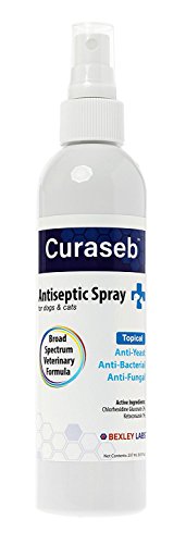 Product Cover Curaseb Antifungal & Antibacterial Chlorhexidine Spray for Dogs & Cats - Treats Yeast Infections, Hot Spots, Ringworm & Pyoderma - Anti Itch with Soothing Aloe - Broad Spectrum Veterinary Formula