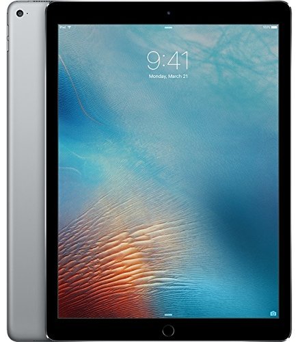 Product Cover Apple iPad Pro Tablet (256GB, Wi-Fi, 9.7in) Gray (Renewed)