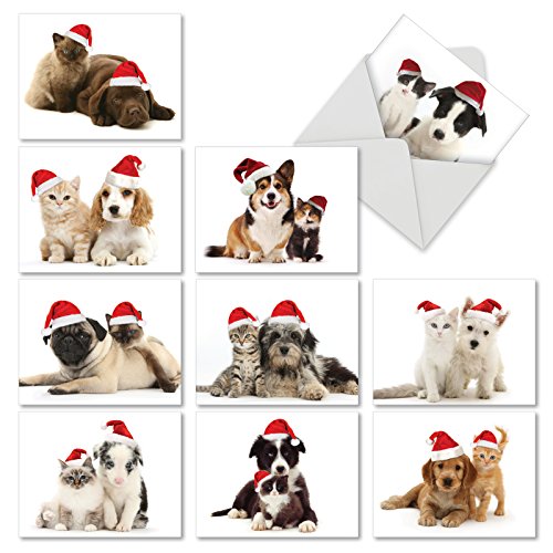 Product Cover Christmas Copy Cats - Adorable Blank Xmas Note Cards with Envelopes (4 x 5.12 Inch) - Assorted Pet Dog and Cat Cards M6596XSB