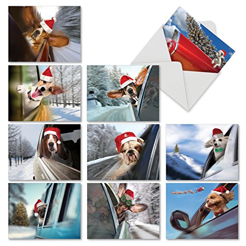 Product Cover 10 'Holiday Doggie in the Window' Christmas Cards, Funny Pups Hanging Out a Window Holiday Notes 4 x 5.12 inch, Silly Dogs in Santa Hats Cards, Christmas Canine Cards, Dogs and Cars Cards M6481XSG