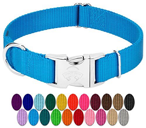 Product Cover Country Brook Design - Vibrant 25 Color Selection - Premium Nylon Dog Collar with Metal Buckle (Large, 1 Inch, Ice Blue)