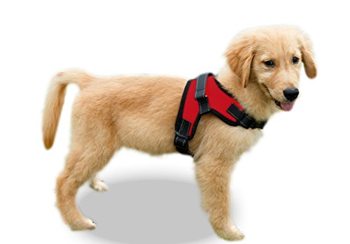 Product Cover Copatchy No Pull Reflective Adjustable Dog Harness with Handle (Medium Red)