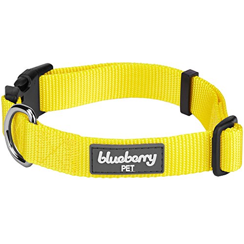 Product Cover Blueberry Pet Essentials 22 Colors Classic Dog Collar, Blazing Yellow, Small, Neck 12