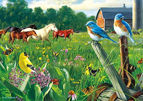 Product Cover Buffalo Games - Hautman Brothers - Country Meadow - 300 Large Piece Jigsaw Puzzle
