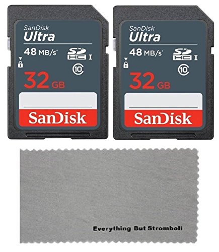 Product Cover 2 Pack SanDisk 32 GB Class 10 SDHC Flash Memory Card works with Bestguarder HD IP66 Infrared Night Vision Game & Trail Hunting Scouting Ghost Camera - W/ Everything But Stromboli (tm) MicroFiber Cloth