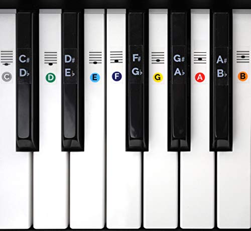 Product Cover Color Piano Keyboard Stickers- Removable, Transparent, for White & Black Keys