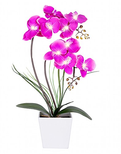 Product Cover Homeseasons LED Lighted Homeseasons LED Lighted Artificial Phalaenopsis Orchid Arrangement with 9 Lights,Purple