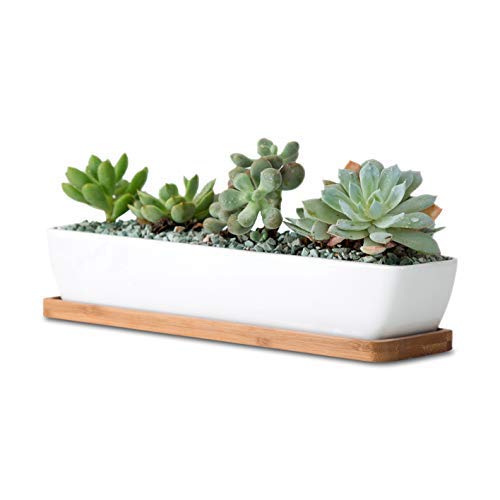 Product Cover 11inch Long Rectangle White Ceramic Succulent Planter Pots/Mini Flower Plant Containers with Bamboo Saucers. Product Size:11x2.36x1.77inch,not Include The Plant. (Long Rectangle)