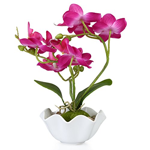 Product Cover MyGift Decorative Artificial Silk Phalaenopsis Orchid Flower with White Vase, Purple