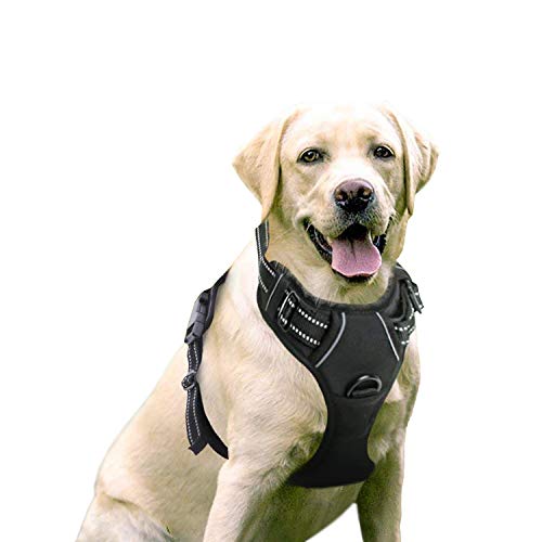 Product Cover Rabbitgoo Front Range Dog Harness Adjustable Outdoor Pet Vest with Handle Easy Control for Small Medium Large Dogs and Durable Material (Large, Black)