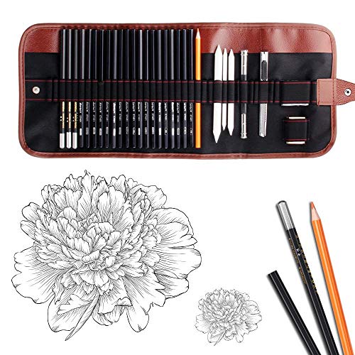 Product Cover Dowswin 29 Pieces Pen Charcoal Sketch Set Sketching Pencil Set of Pencils Eraser Craft Knife Pencil Extender Roll up Canvas Carry Pouch Pro Art Supply for Beginners Artist