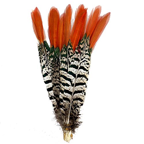 Product Cover Sowder 10pcs Red Lady Amherst Pheasant Plumage Feathers 6-8 Inches for Home Wedding Decoration