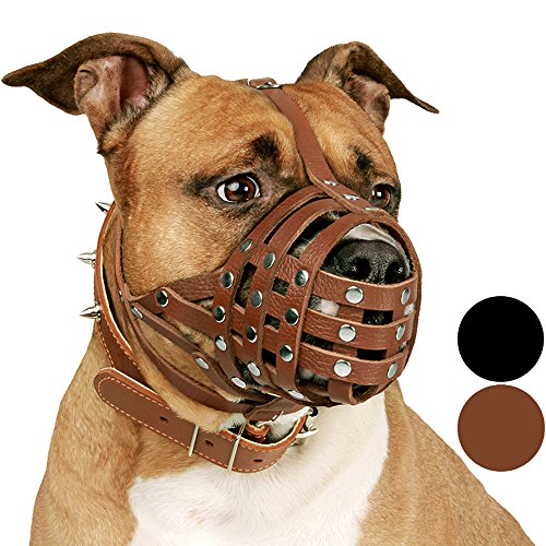 Product Cover CollarDirect Pitbull Dog Muzzle Leather Amstaff Muzzles Staffordshire Terrier Secure Basket (Brown)