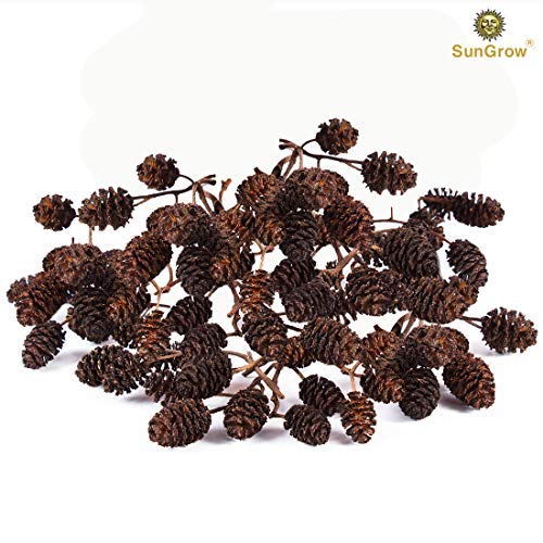 Product Cover Luffy 30 Naturally Grown, Pesticide-Free SunGrow Alder Cones for Shrimps - Lowers pH Level, Fight Bacteria and Prevent Fungal Infections in Aquatic Environment - Perfect for Both Big & Small AQU