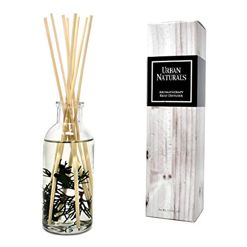 Product Cover Urban Naturals Cranberry & Pine Holiday Wreath Reed Diffuser with Real Pine Needles | Holly Berry & Frosted Fir Needles | Home Gift Idea. Vegan.