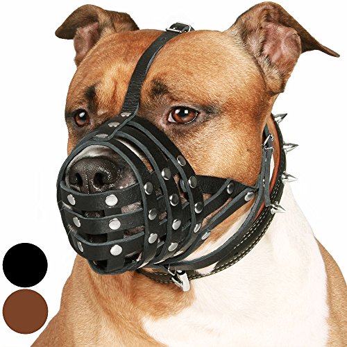 Product Cover CollarDirect Pitbull Dog Muzzle Leather Amstaff Muzzles Staffordshire Terrier Secure Basket (Black)