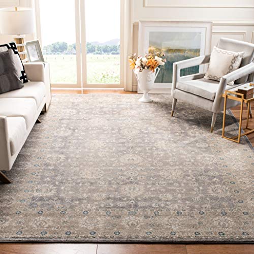 Product Cover Safavieh Sofia Collection SOF330B Vintage Light Grey and Beige Distressed Area Rug (10' x 14')