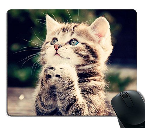 Product Cover Smooffly Cute Cat is Praying Unique Design Lovely Kitten Personality Mouse Pad