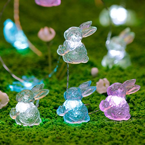 Product Cover Easter Decoration Lights, Impress Life Rabbit Bunny Festive String Lights Battery & USB Cord Dual Power with Remote Multi-Function for Indoor Outdoor Home Party Wedding Camping, Birthday Bedroom House