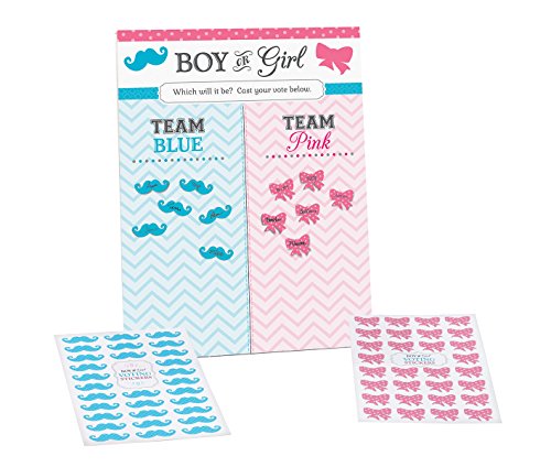 Product Cover Lillian Rose Baby Gender Reveal Voting Board with Stickers, Pink/Blue, 14