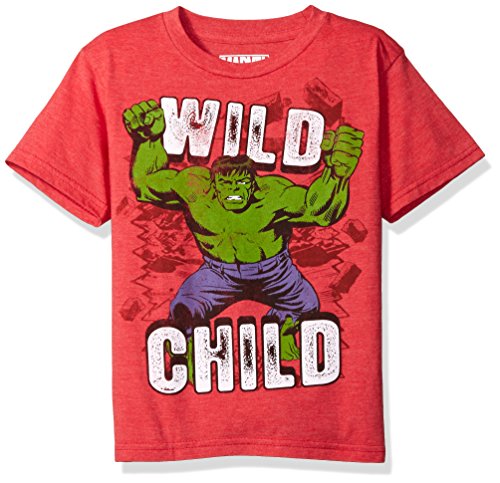 Product Cover Marvel Little Boys' the Incredible Hulk T-Shirt