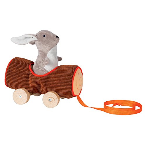 Product Cover Manhattan Toy Camp Acorn Soft Log and Bunny Baby Pull Toy