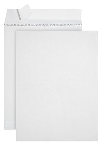 Product Cover 100 9 X 12 Self Seal Security Catalog Envelopes - Designed for Secure Mailing - Securely Holds up to 60 Sheets of Paper with Strong Peel and Seal Flap (100 Envelopes)