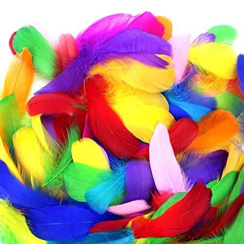 Product Cover Coceca 300pcs 3-5 Inches Colorful Feathers for DIY Craft Wedding Home Party Decorations