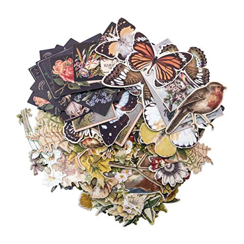 Product Cover Layers - Botanical by Tim Holtz Idea-ology, Chipboard, 83 Dye-Cut Pieces (TIMTH.93554)