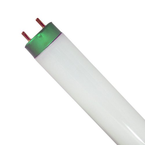 Product Cover EiKO 15523 Model F15T8/WW Linear Fluorescent Tube, 15 Watts, Medium Bipin G13 Base, T-8 Bulb, 18.0