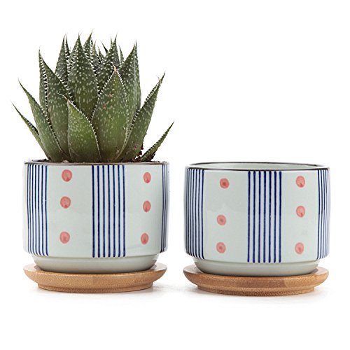 Product Cover T4U 3 Inch Ceramic Succulent Planter Pots with Bamboo Tray Set of 2, Japanese Style Porcelain Handicraft as Gift for Mom Sister Aunt Best for Home Office Restaurant Table Desk Window Sill Decoration