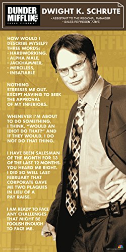 Product Cover Culturenik The Office Dwight Shrute Corporate Ladder (Dunder Mifflin) Cast Group Workplace Comedy TV Television Show Poster Print, 12 by 24 (unframed)