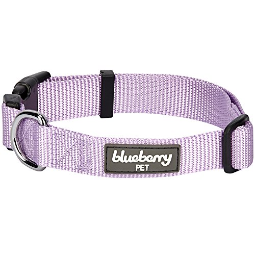 Product Cover Regular Collar - Small, Lavender: Blueberry Pet Classic Solid Color Nylon Dog Collar in Lavender, Neck 30cm-40cm, Small, Collars for Dogs