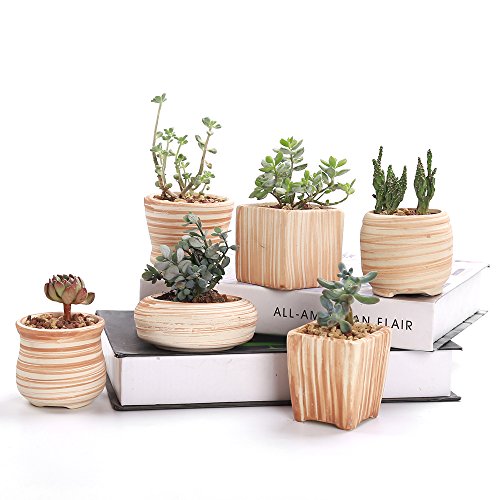 Product Cover SUN-E 6 in Set 3 Inch Ceramic Wooden Pattern Succulent Plant Pot Cactus Plant Pot Flower Pot Container Planter Gift Idea