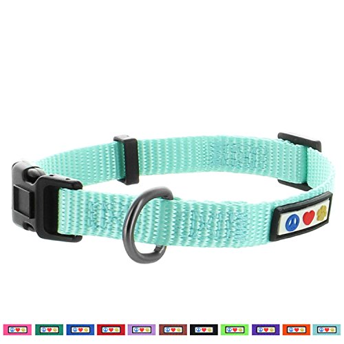 Product Cover Pawtitas Dog Collar for Medium Dogs Training Puppy Collar with Solid - M - Teal