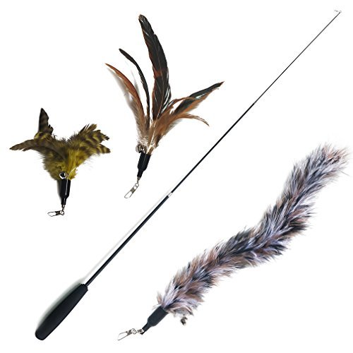 Product Cover Cat Toys Interactive Feather Wand Retractable with Pack 3 Assorted Natural Feathers Refills Teaser and Exerciser Attachments with Bell Attached by VNthings