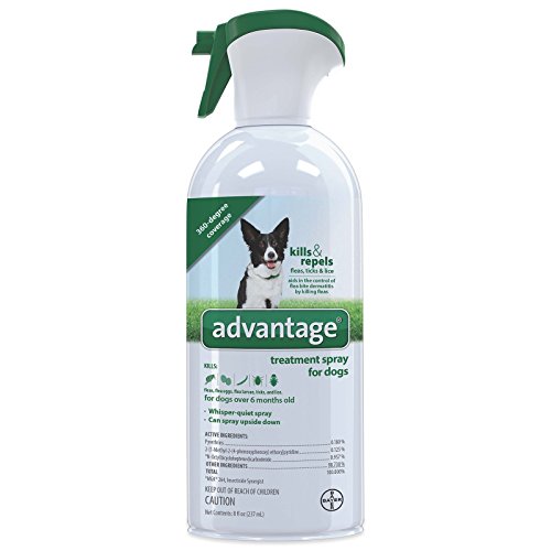 Product Cover Flea and Tick Treatment Spray for Dogs, 8 oz, Advantage